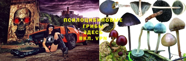 бутик Бородино