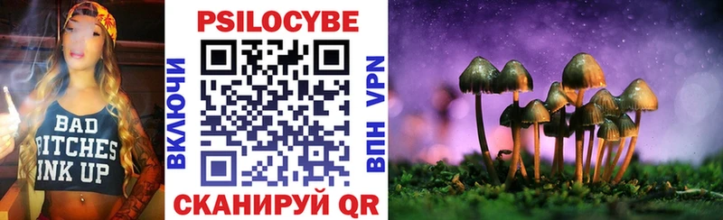 Псилоцибиновые грибы Cubensis Сосногорск